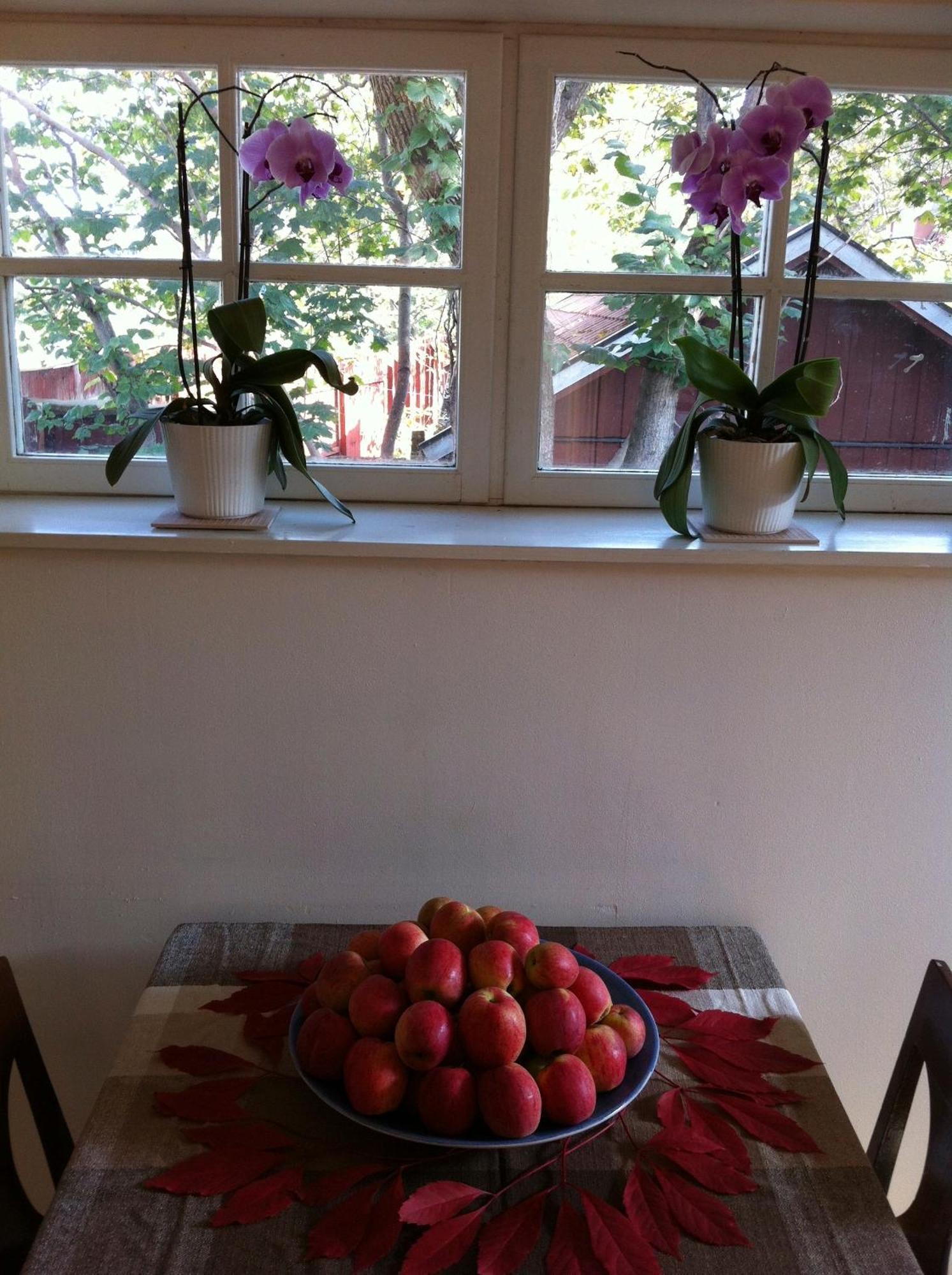 Stockholm B&B Cottage Nacka község Szoba fotó