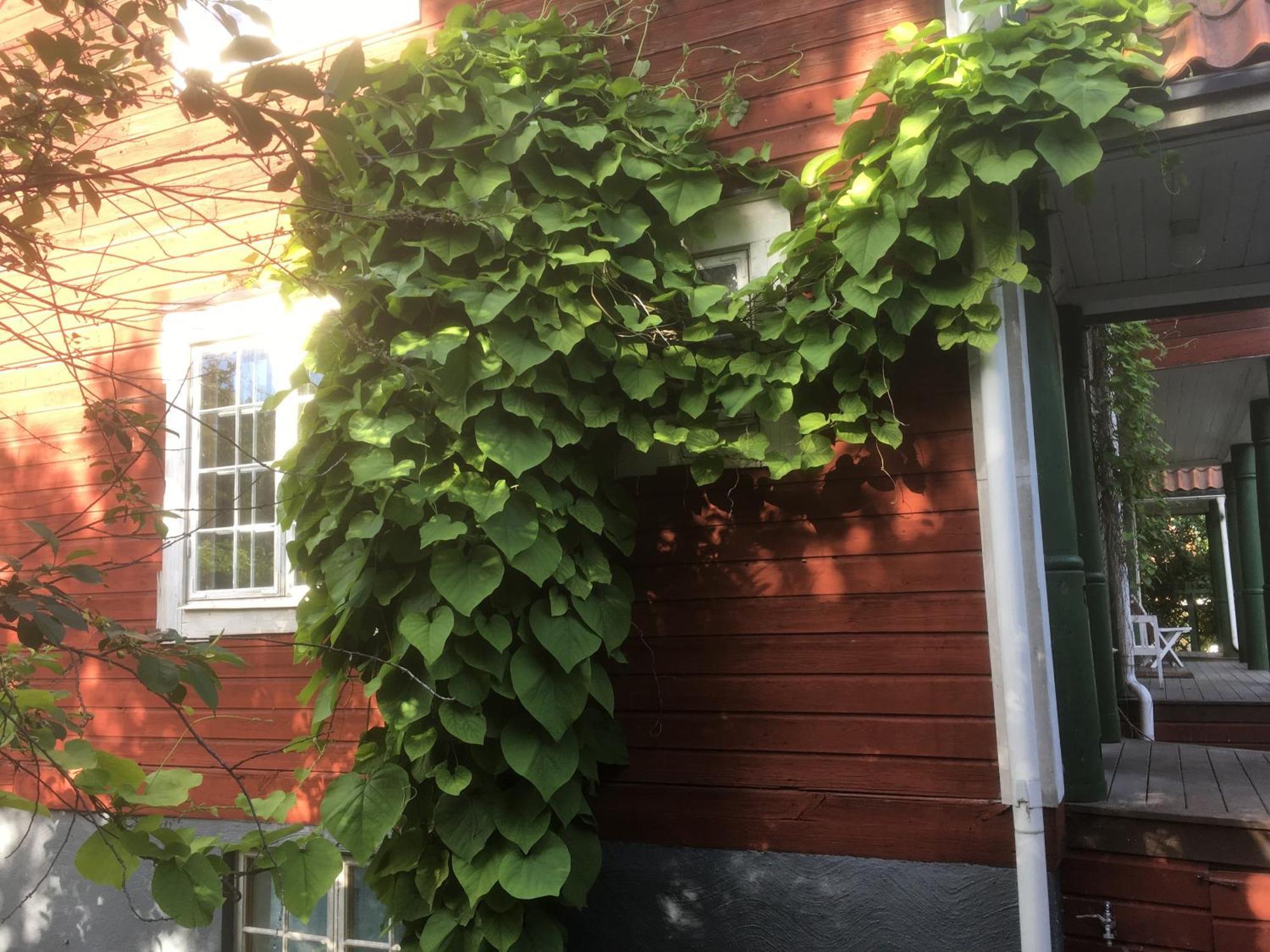 Stockholm B&B Cottage Nacka község Szoba fotó