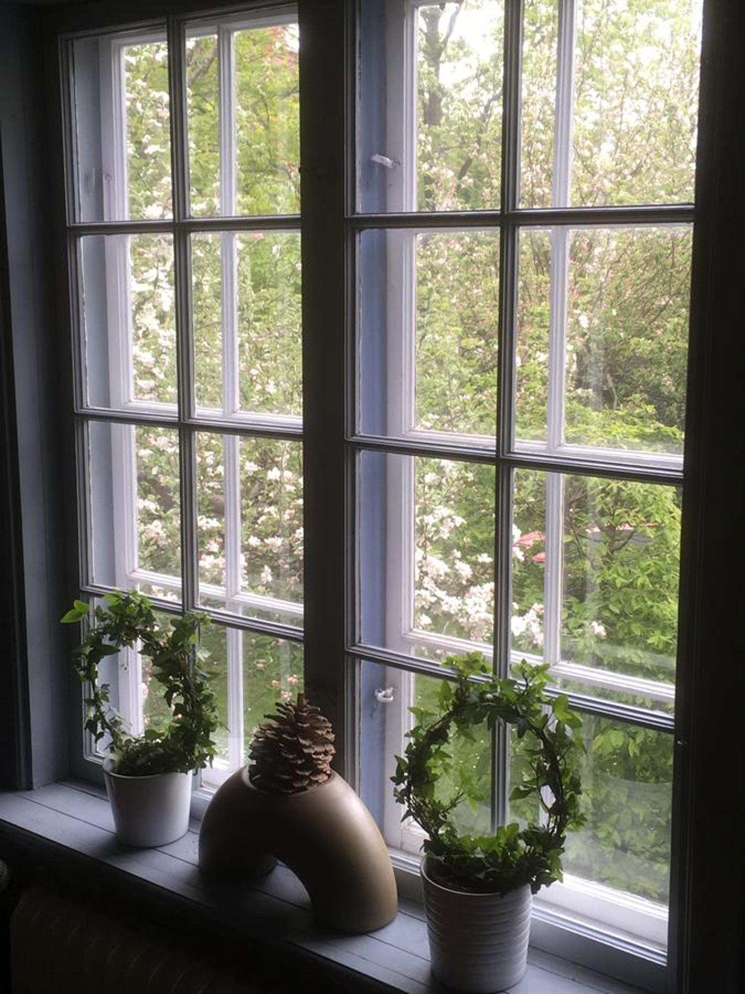 Stockholm B&B Cottage Nacka község Kültér fotó