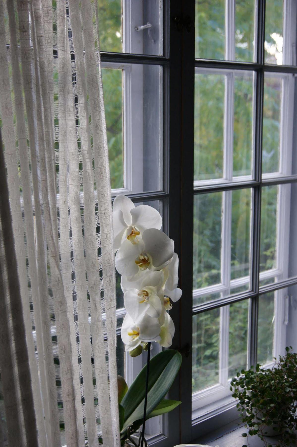 Stockholm B&B Cottage Nacka község Kültér fotó