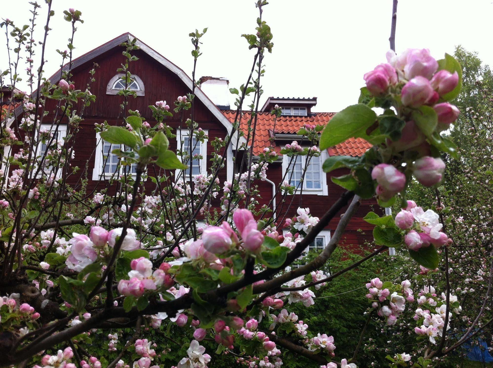 Stockholm B&B Cottage Nacka község Kültér fotó